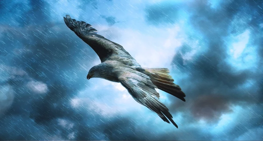 eagle flying during a storm