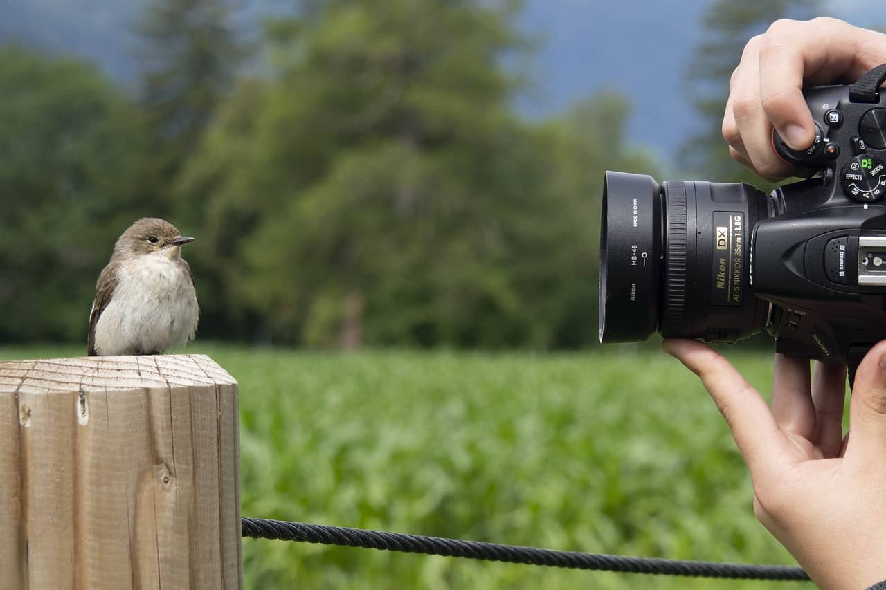 Camera For Birding