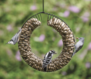 Peanut Wreath bird feeder